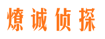 盐湖侦探